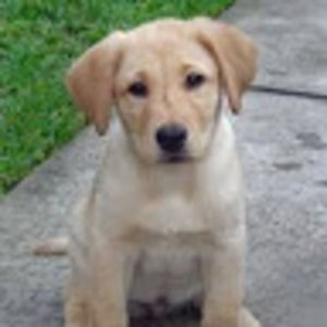 Meet your Posher, Bradon